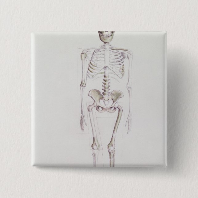 Bóton Quadrado 5.08cm Esqueleto do africanus do Australopithecus (Frente)