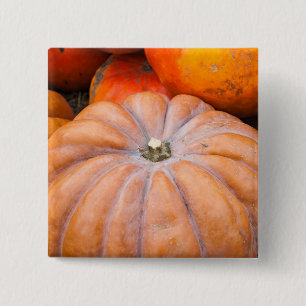 Bóton Quadrado 5.08cm Estação Pumpkin