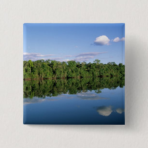 Bóton Quadrado 5.08cm Estado do Mato Grosso, Amazônia, Brasil. Florestad