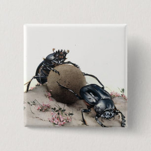 Bóton Quadrado 5.08cm Estrume Bettle