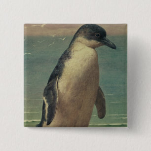Bóton Quadrado 5.08cm Estudo de um pinguim