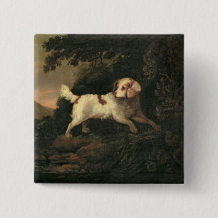 Bóton Quadrado 5.08cm Estudo do Spaniel de Clumber