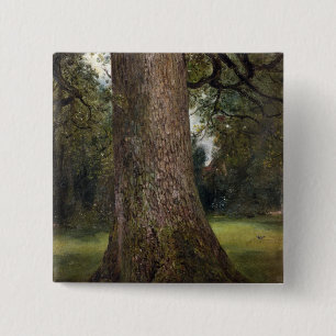 Bóton Quadrado 5.08cm Estudo do tronco de uma árvore de olmo, c.1821