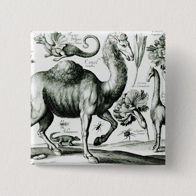 Bóton Quadrado 5.08cm Estudo dos animais e das flores, gravado (Frente)