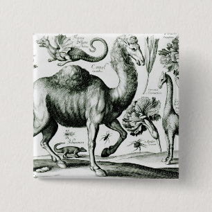 Bóton Quadrado 5.08cm Estudo dos animais e das flores, gravado