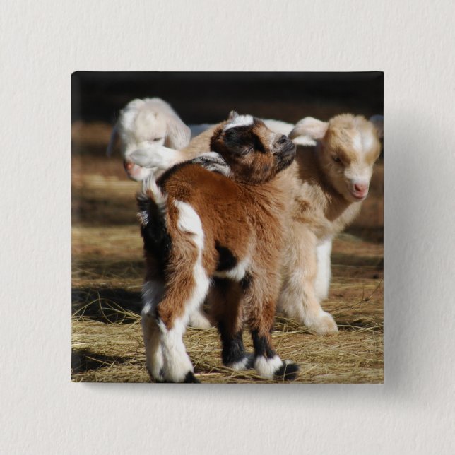 Bóton Quadrado 5.08cm Eu Amo Crianças (Frente)