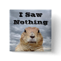 Eu não vi nada no dia do Groundhog