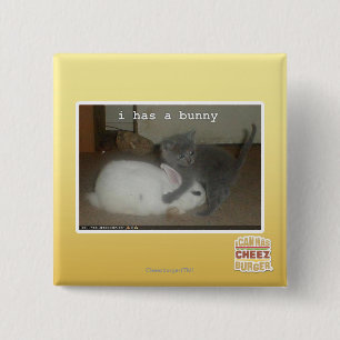 Bóton Quadrado 5.08cm Eu tenho um coelho