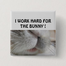 Eu trabalho duro para o coelho