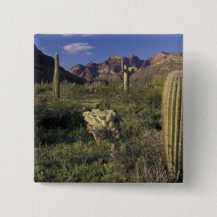 Bóton Quadrado 5.08cm EUA, Arizona, Monumento Nacional Organ Pipe.