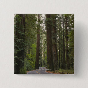 Bóton Quadrado 5.08cm EUA, Califórnia, estrada através da floresta 2 d