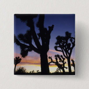 Bóton Quadrado 5.08cm EUA, Califórnia, Parque Nacional Joshua Tree,