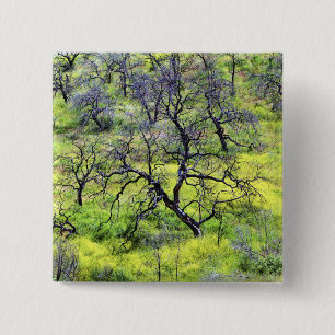 Bóton Quadrado 5.08cm EUA, Califórnia, San Diego. Uma floresta de carval