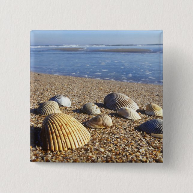 Bóton Quadrado 5.08cm EUA, Flórida, Conchas Marinhas Costeiras (Frente)