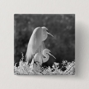 Bóton Quadrado 5.08cm EUA, Flórida, Garça-branca-grande (Ardea alba) inf