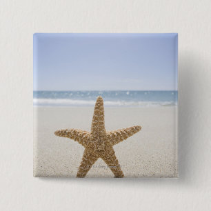 Bóton Quadrado 5.08cm EUA, Massachusetts, Cape Cod, Nantucket, fim