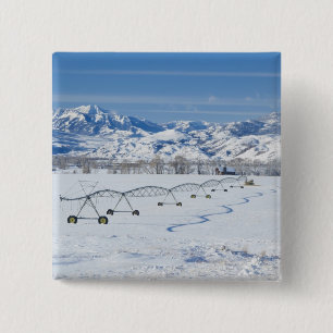 Bóton Quadrado 5.08cm EUA, MT, Fazenda perto de Livingston