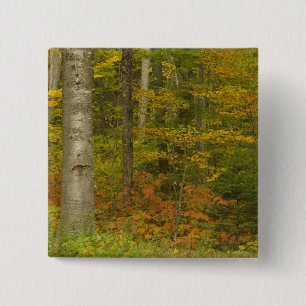 Bóton Quadrado 5.08cm EUA, New Hampshire, Livermore, White Mountain