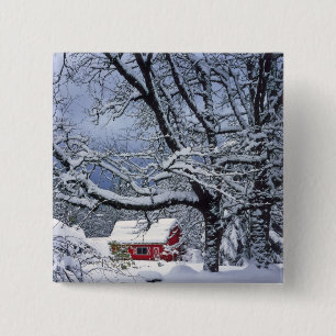 Bóton Quadrado 5.08cm EUA, Oregon, Condado de Clackamas. cobrir de neve 