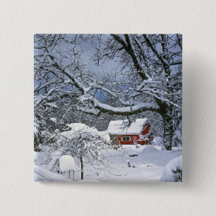 Bóton Quadrado 5.08cm EUA, Oregon, Condado de Clackamas. Neve fresca