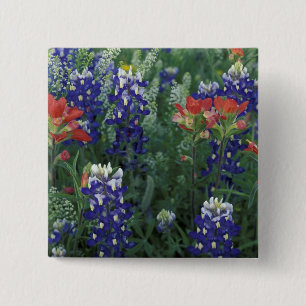 Bóton Quadrado 5.08cm EUA, Texas Hill Country. Bluebonnets e
