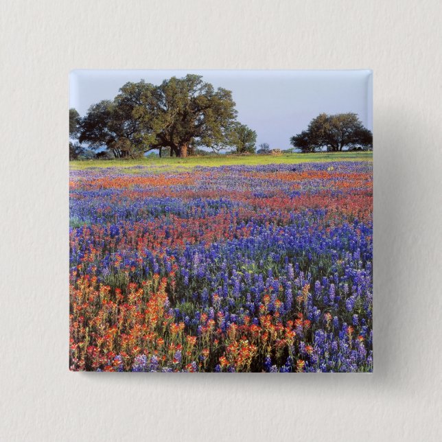 Bóton Quadrado 5.08cm EUA, Texas, Llano. Bluebonnets e redbonnets (Frente)