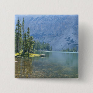 Bóton Quadrado 5.08cm EUA, Utah, Floresta Nacional Ashley, High Uintas