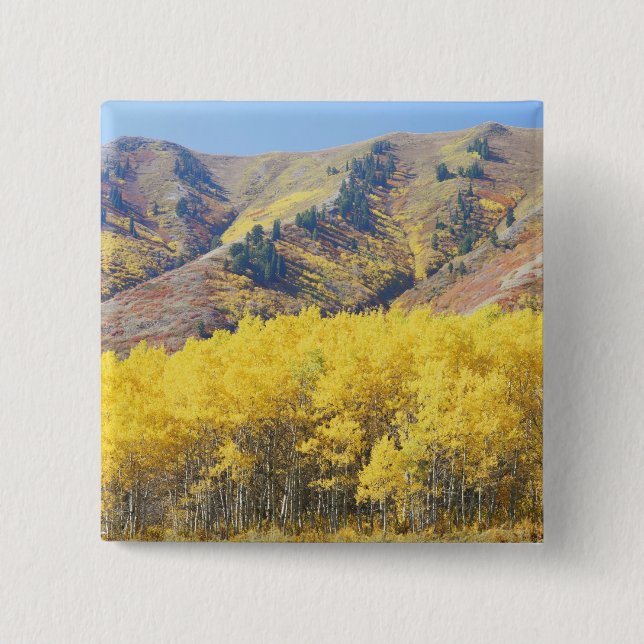 Bóton Quadrado 5.08cm EUA, Utah, Floresta Nacional Wasatch-Cache, (Frente)