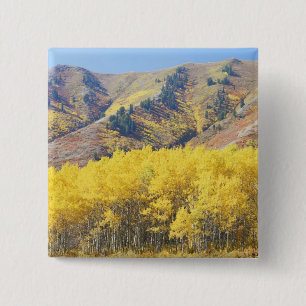 Bóton Quadrado 5.08cm EUA, Utah, Floresta Nacional Wasatch-Cache,