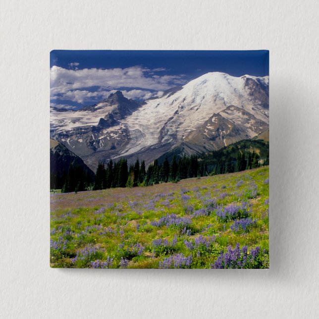 Bóton Quadrado 5.08cm EUA, Washington, Parque Nacional Mt. Rainier. (Frente)