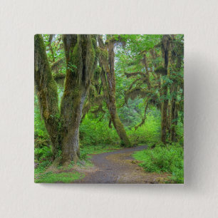 Bóton Quadrado 5.08cm EUA, Washington, Parque Nacional Olimpiadas, Hoh