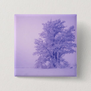 Bóton Quadrado 5.08cm EUA, Washington, Spokane County, Fosco