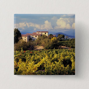 Bóton Quadrado 5.08cm Europa, France, Bonnieux. Os vinhedos cobrem