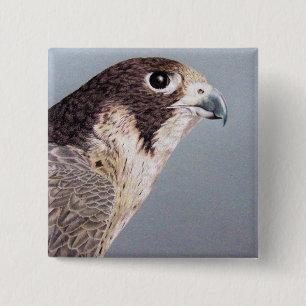 Bóton Quadrado 5.08cm Falcão de peregrino