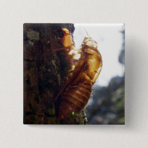 Bóton Quadrado 5.08cm Fantasma de Shell