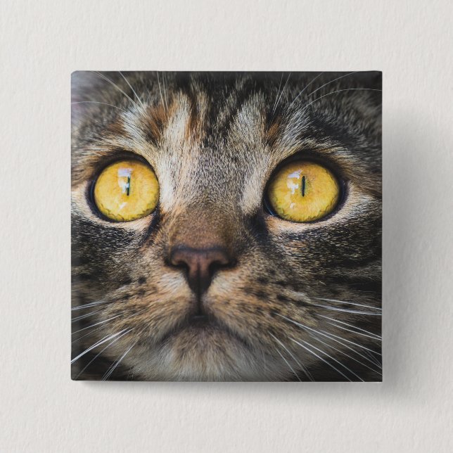 Bóton Quadrado 5.08cm Fechamento de Gato com Olhos Amarelos (Frente)
