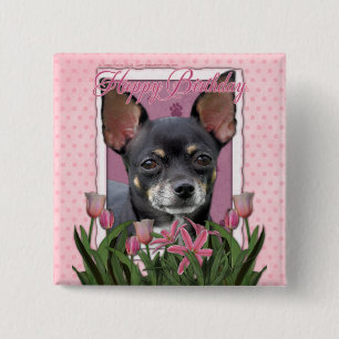 Bóton Quadrado 5.08cm Feliz aniversario - chihuahua - Isabella