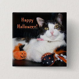 Bóton Quadrado 5.08cm Feliz Halloween Cat Calico Gatinho com Pumpkin