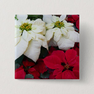 Bóton Quadrado 5.08cm Férias de Natal White e Red Poinsettias II