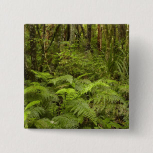 Bóton Quadrado 5.08cm Ferns e arbustos nativos perto de Matai Falls, Cat