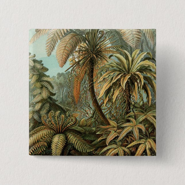 Bóton Quadrado 5.08cm Ferns Palm Tree Arte Botânica Antica (Frente)