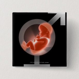 Bóton Quadrado 5.08cm Feto sobrepor sobre os símbolos masculinos e