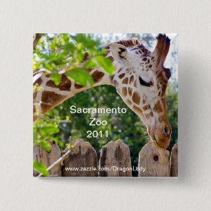 Bóton Quadrado 5.08cm Fiberlicious