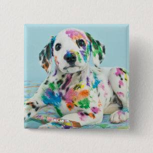 Bóton Quadrado 5.08cm Filhote de cachorro Dalmatian