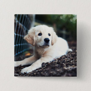 Bóton Quadrado 5.08cm Filhote de cachorro de Labrador que joga no jardim