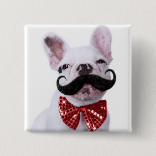 Bóton Quadrado 5.08cm Filhote de cachorro do cão de Bull do francês co