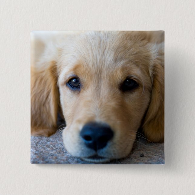 Bóton Quadrado 5.08cm Filhote de cachorro doce, doce (Frente)