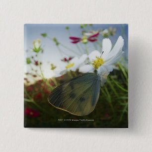 Bóton Quadrado 5.08cm Fim-acima da borboleta na flor