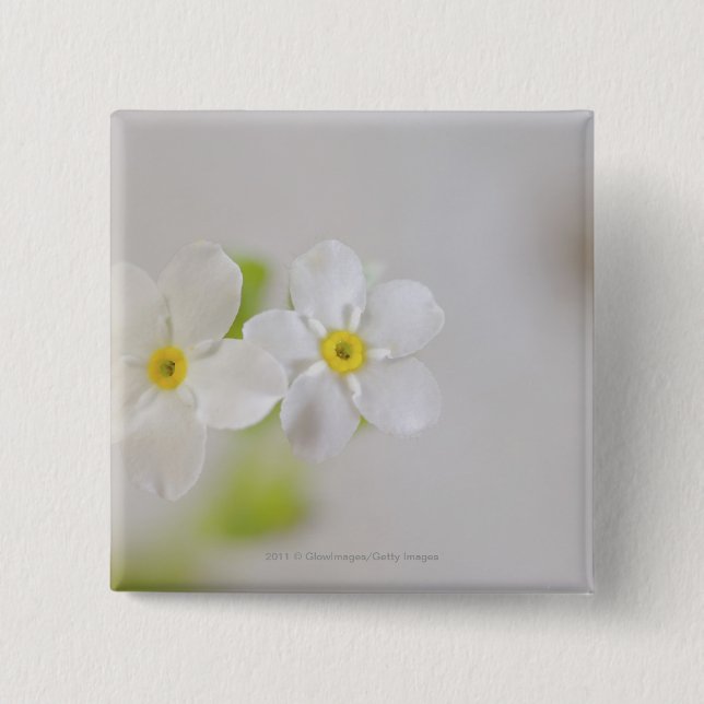 Bóton Quadrado 5.08cm Fim-acima das flores (Frente)