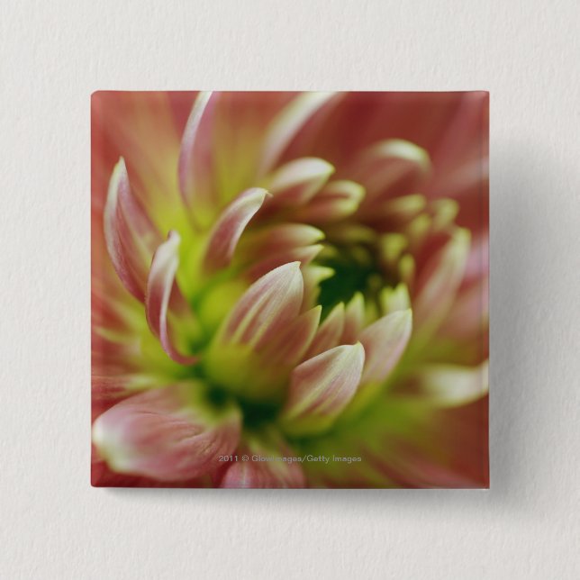Bóton Quadrado 5.08cm Fim-acima de uma flor (Frente)